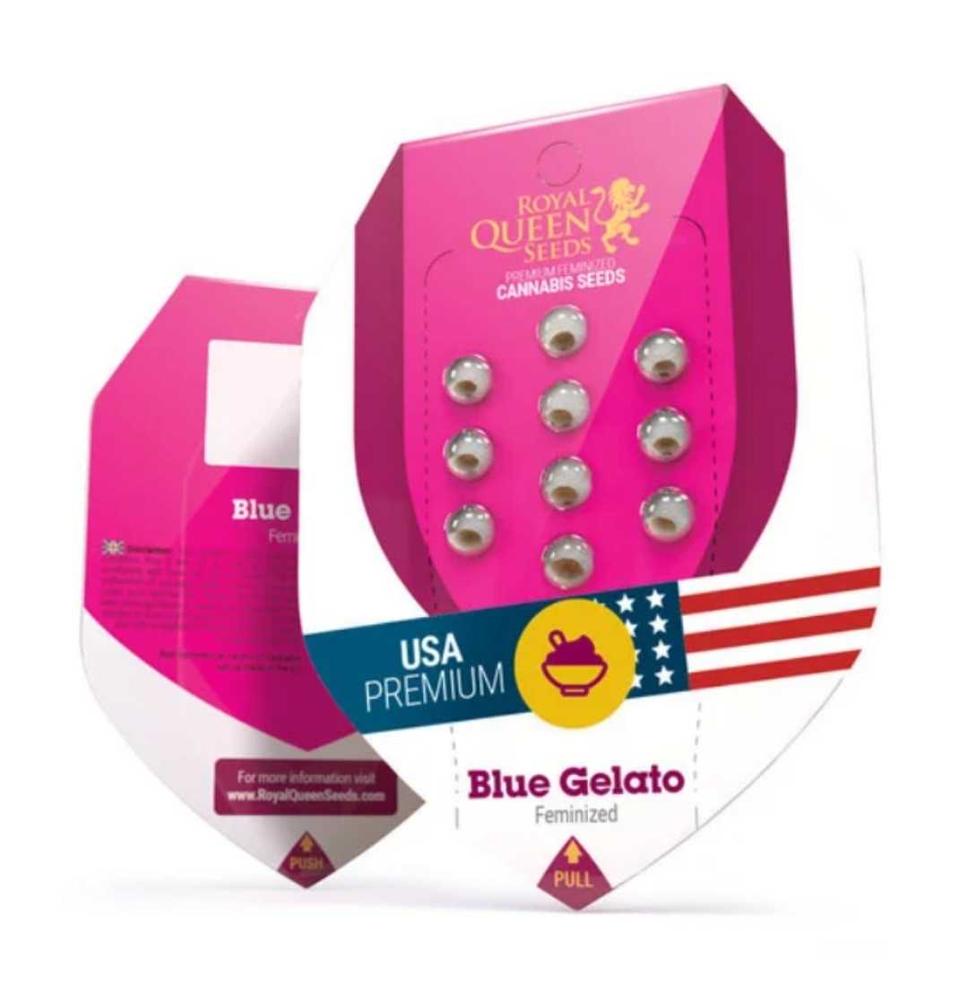 Verpackung der feminisierten Blue Gelato Cannabissamen von Queen Seeds mit pinkem Design und USA-Label.