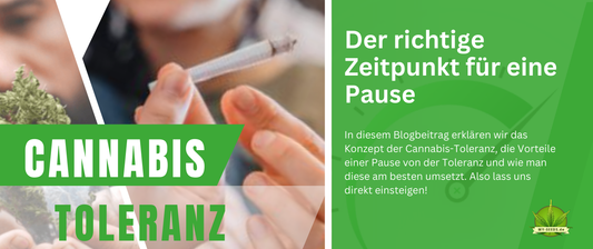 Cannabis-Toleranz | Der richtige Zeitpunkt für eine Pause?