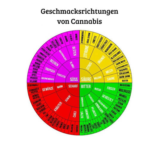 Die unterschiedlichen Geschmacksrichtungen von Cannabis