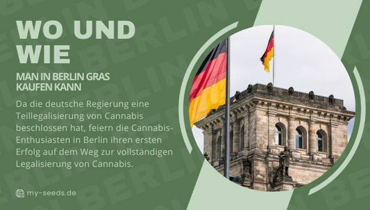 Wo und Wie man in Berlin Gras kaufen kann