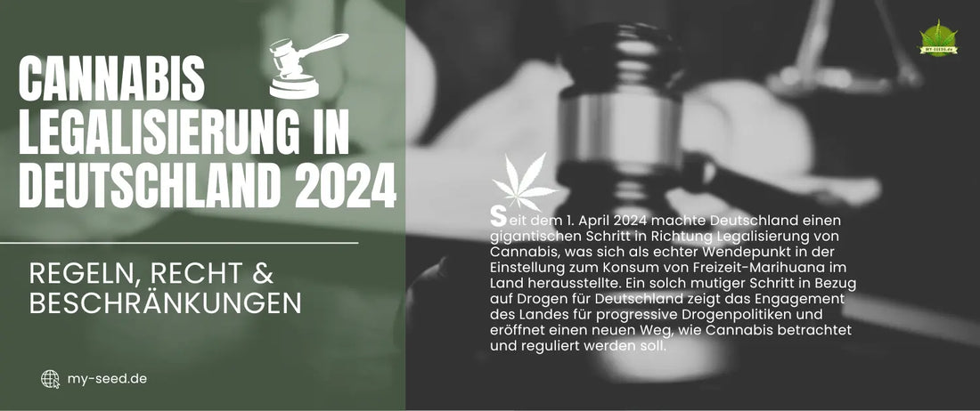 Cannabis Legalisierung in Deutschland 2024