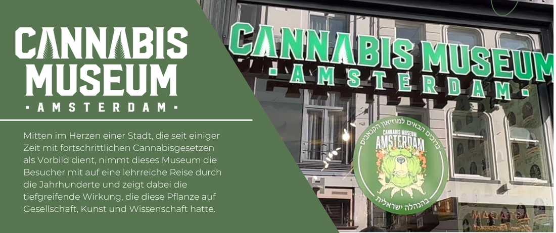 Amsterdam Cannabis Museum | Eine Reise durch die Cannabis Kultur