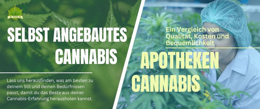 selbst angebautes cannabis VS Apotheken cannabis