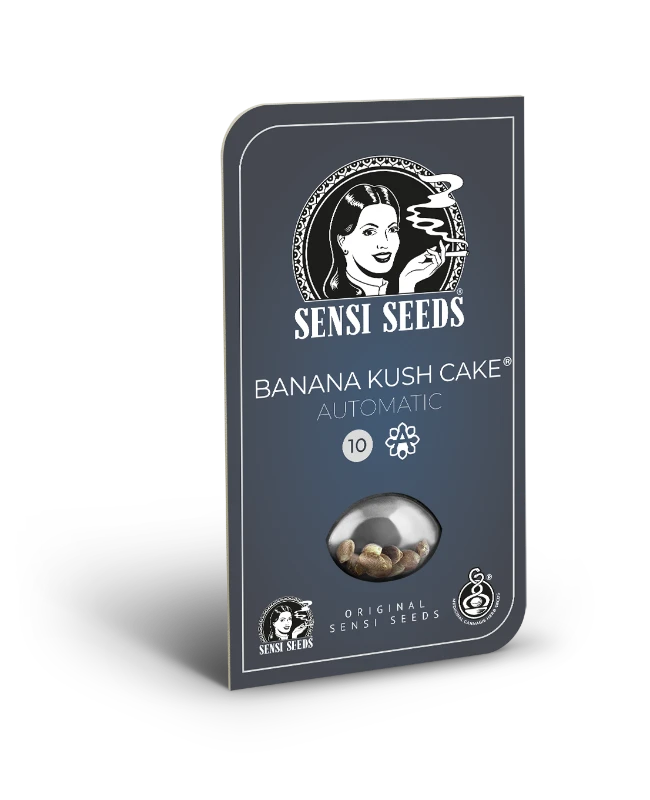 Banana Kush Cake Automatic (Sensi Seeds) Feminisiert