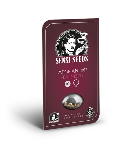 Afghani #1 (Sensi Seeds) Feminisiert