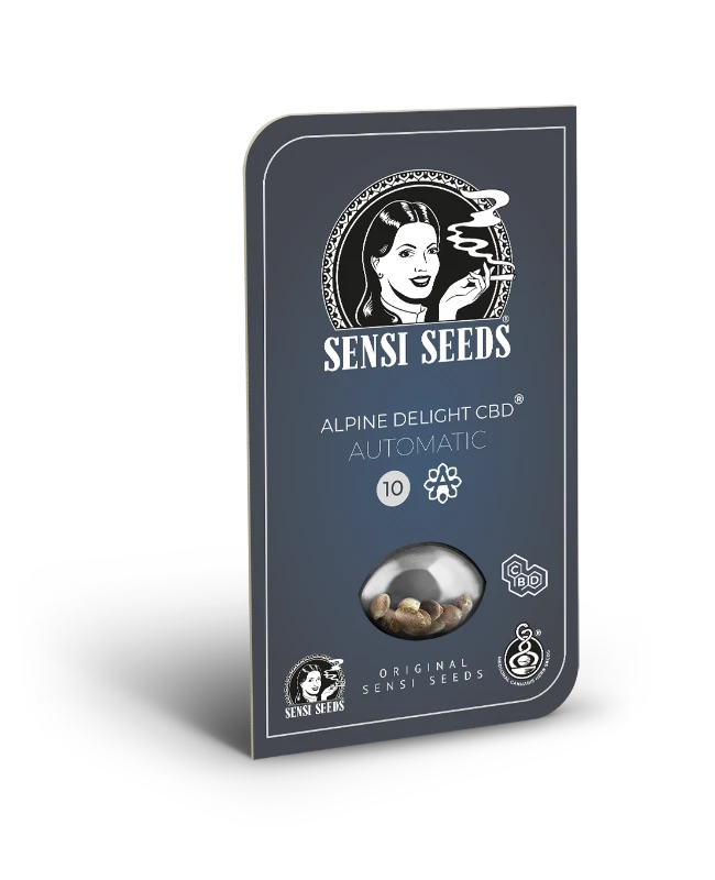 Alpine Delight Cbd Automatic (Sensi Seeds) Feminisiert