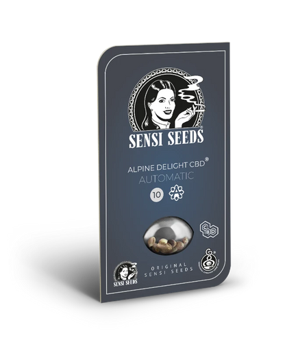 Alpine Delight Cbd Automatic (Sensi Seeds) Feminisiert