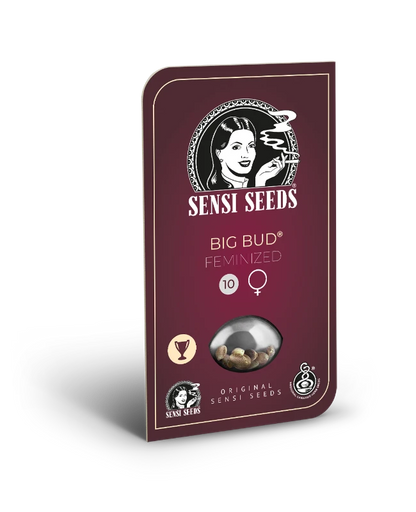 Big Bud (Sensi Seeds) Feminisiert