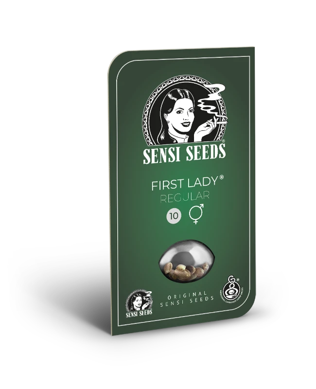 First Lady (Sensi Seeds) Regular