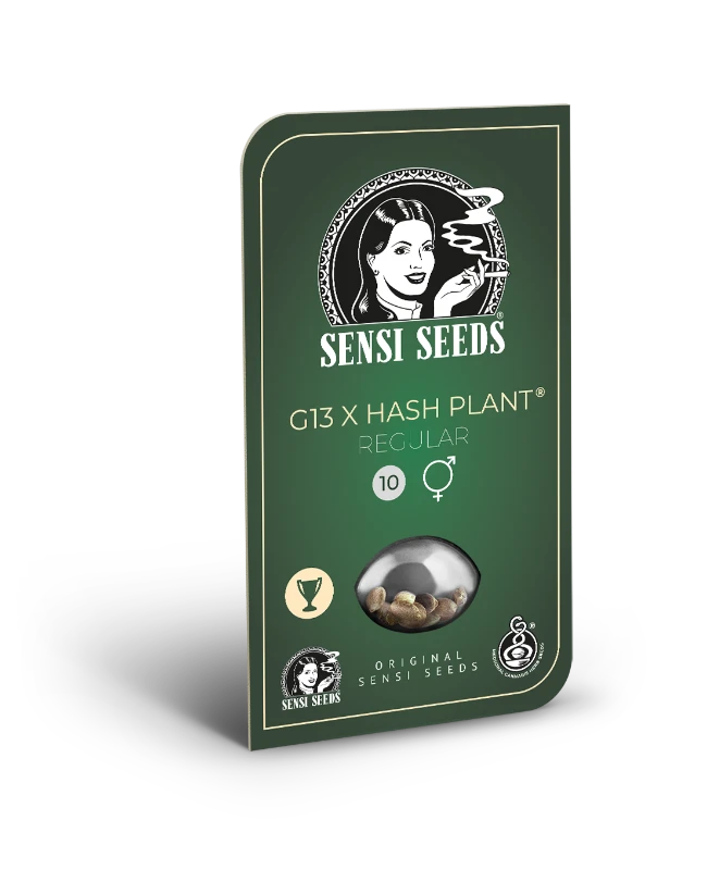 Mr Nice G13 X Hash Plant (Sensi Seeds) Regular