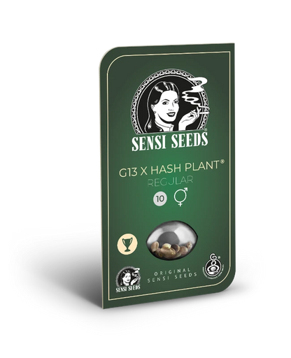 Mr Nice G13 X Hash Plant (Sensi Seeds) Regular