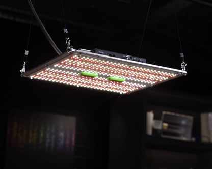 150W LED Light (SAMSUNG LM301H EVO LEDs) by MyGrowLED