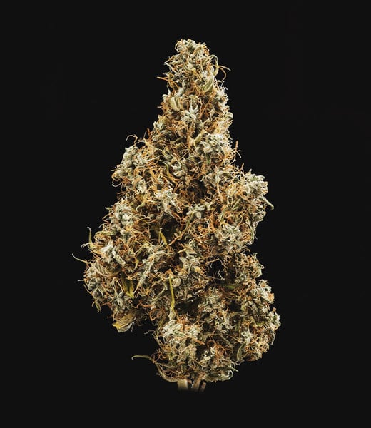 Auto Mimosa (Royal Queen Seeds) Feminisiert (Copy)