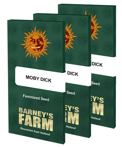 MOBY DICK (BARNEY'S FARM) FEMINISIERT