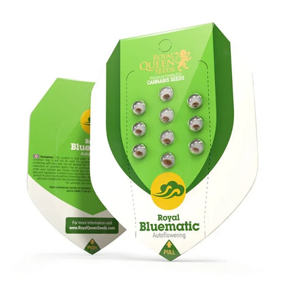 Auto Bluematic (Royal Queen Seeds) Feminisiert